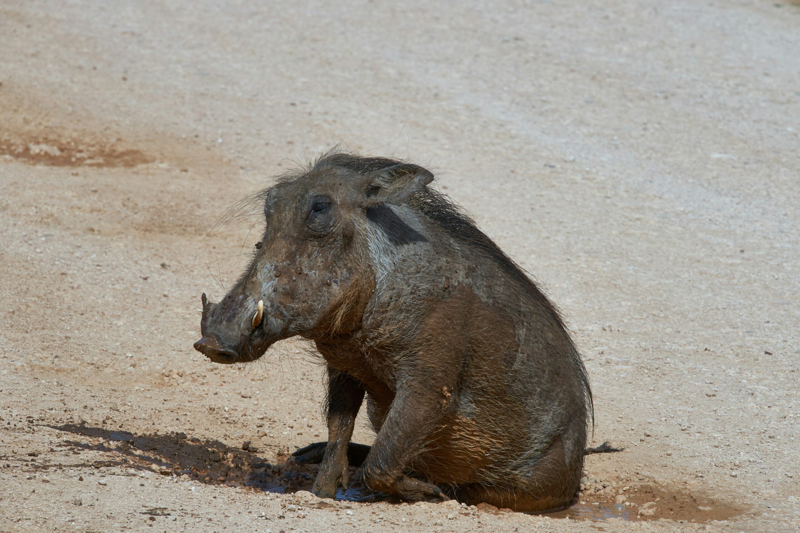 Kritik macht Beziehungen unsexy